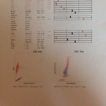 T J's Kennel - Lab results 2 - Pet Breeders Near Me - Williamstown, Kentucky