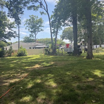 Brunneus & Son - Tree Services Near Me - Shirley, New York Brunneus & Son - Tree Services Near Me - Shirley, New York