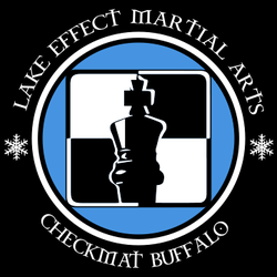 Lake Effect Martial Arts - Proud to be with Team Checkmat BJJ