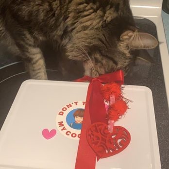 Don't Touch My Cookies - Finn fighting me for the cookies! - Desserts Near Me Don't Touch My Cookies - Finn fighting me for the cookies! - Desserts Near Me