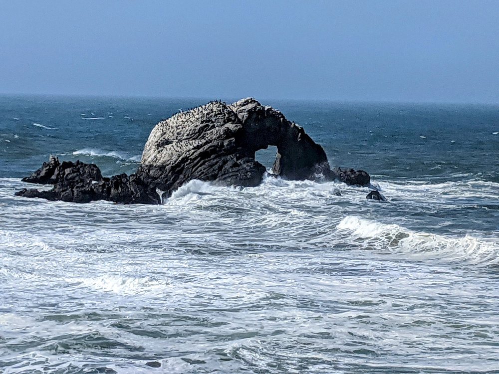 Seal Rocks