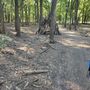 Photo of Northshore Mountain Biking Trails