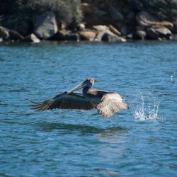 Morro Bay Boat Rentals