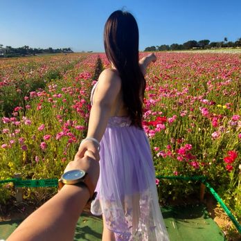 The Flower Fields - Venues & Event Spaces Near Me - Carlsbad, California The Flower Fields - Venues & Event Spaces Near Me - Carlsbad, California