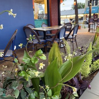 Julio's Café - Jasmine fragrance must be so nice during the spring. - Mexican Near Me - Austin, Texas