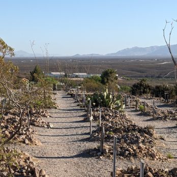 Boothill Graveyard & Gift Shop - Boothill Graveyard & Gift Shop, Tombstone AZ - Gift Shops Near Me - Tombstone, Arizona