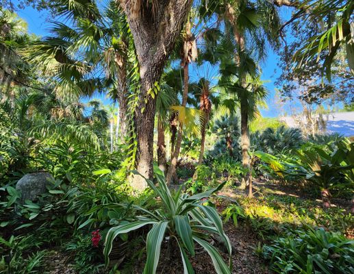McKee Botanical Garden by null