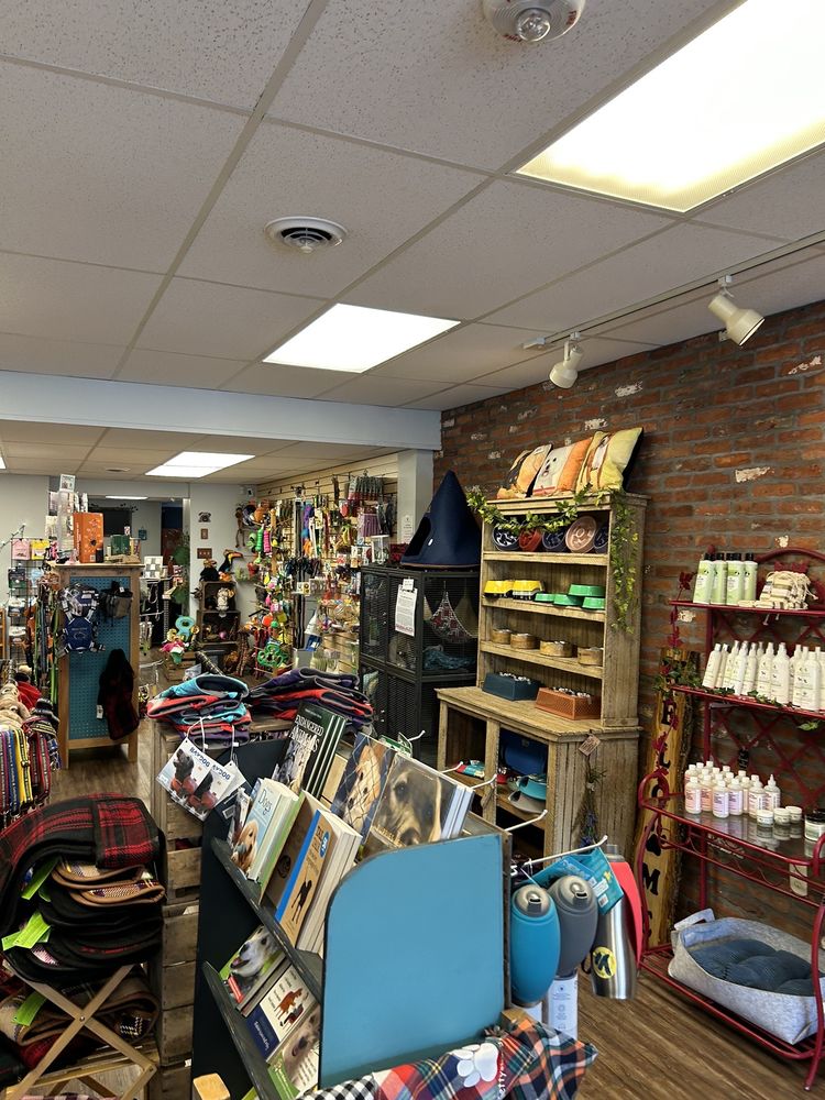 THE LUCKY PAW SHOP Updated August 2024 35 York St, Gettysburg