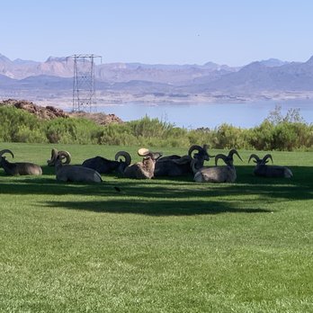 Hemenway Valley Park - Big horn sheep with view of Lake Mead - Recreation Centers Near Me - Boulder City, Nevada Hemenway Valley Park - Big horn sheep with view of Lake Mead - Recreation Centers Near Me - Boulder City, Nevada