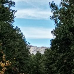 Timber Ridge Campground