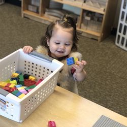 Children's Museum Of Alamance County - BLOCKS! Always a hit.