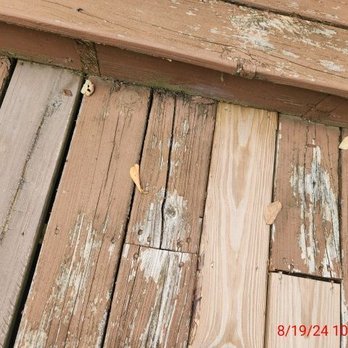 Whaley Asset Management - Before Staining - Handyman Near Me Whaley Asset Management - Before Staining - Handyman Near Me