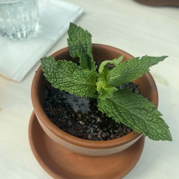 La Diosa Taqueria - TIERRA SANTA - Tacos Near Me - Miami Lakes, Florida