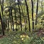 Photo of Hoyt Arboretum