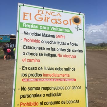 Finca El Girasol - Farms Near Me - Guanica, Puerto Rico