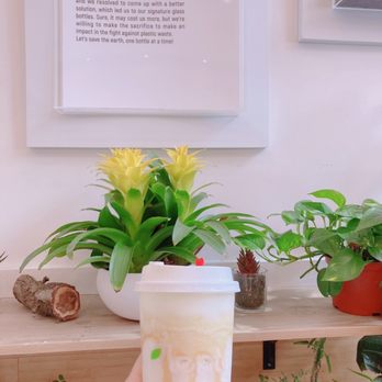 Plentea - Caramel ice milk - Tea Rooms Near Me - San Francisco, California Plentea - Caramel ice milk - Tea Rooms Near Me - San Francisco, California
