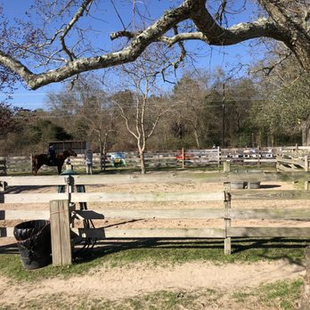 Old MacDonald's Farm - Pony ride - Venues & Event Spaces Near Me - Humble, Texas Old MacDonald's Farm - Pony ride - Venues & Event Spaces Near Me - Humble, Texas