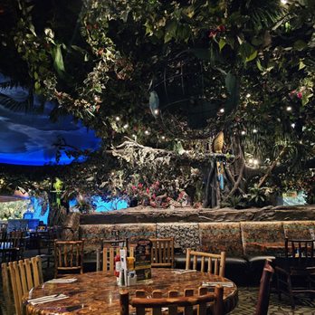 Rainforest Cafe - Ambiance great - American Near Me - Gurnee, Illinois Rainforest Cafe - Ambiance great - American Near Me - Gurnee, Illinois