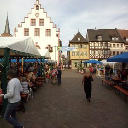 Zur Rose - Karlstadt Bayern