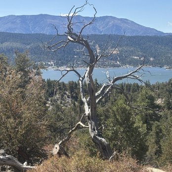 Cougar Crest Trail - View at end of trail at the top - Hiking Near Me Cougar Crest Trail - View at end of trail at the top - Hiking Near Me