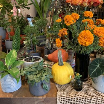 Kunst Coffee Haus - Coffee & Tea Near Me - Bayside, New York