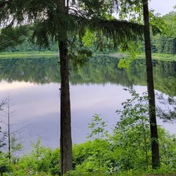 Bluegill Lake Family Camping Resort