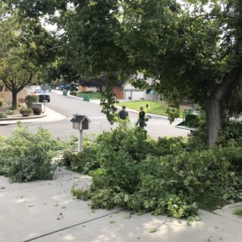 American Arborists - Pablo - Tree Services Near Me - Reno, Nevada American Arborists - Pablo - Tree Services Near Me - Reno, Nevada
