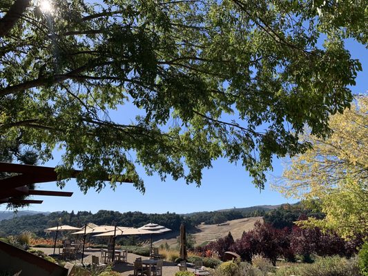 Denner Vineyards by null