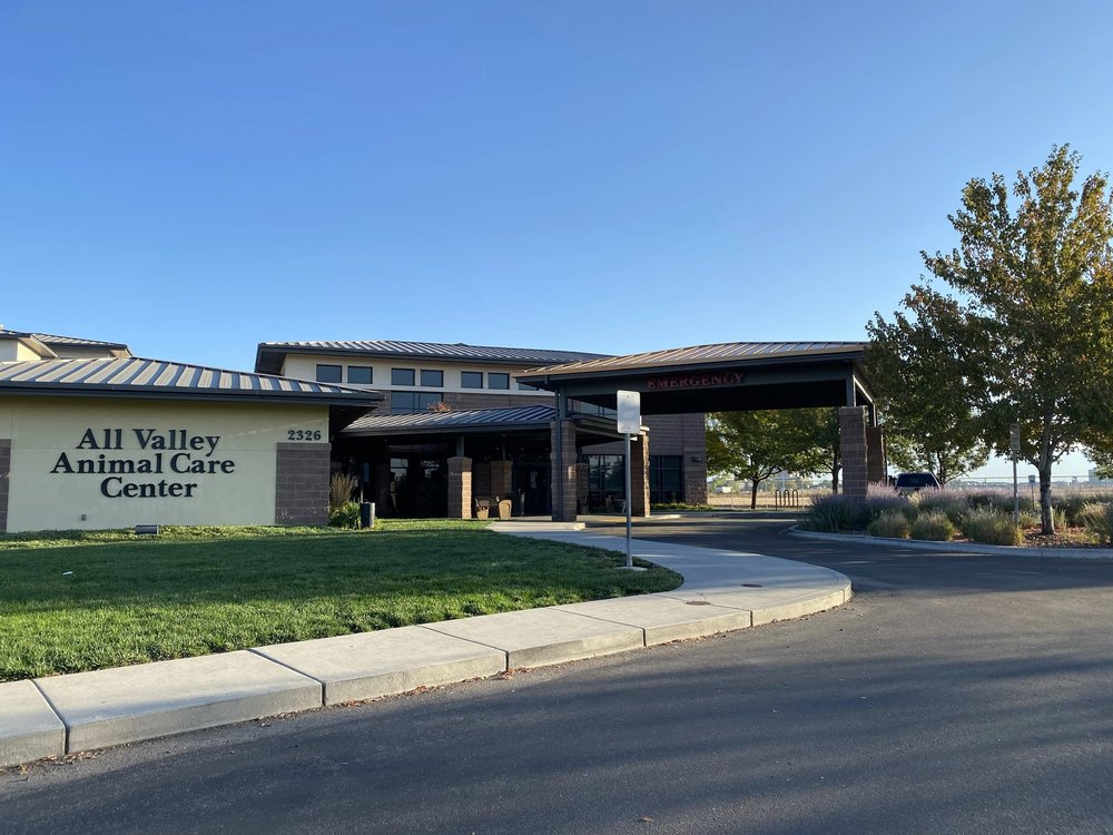 ALL VALLEY ANIMAL CARE CENTER Updated October 2024 39 Photos & 151 Reviews 2326 E Cinema