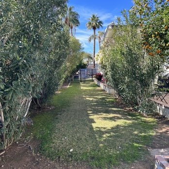 Outdoor Xscapes - Before - Landscaping Near Me - Phoenix, Arizona