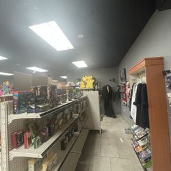 Vick maniac collectibles - Inside of store