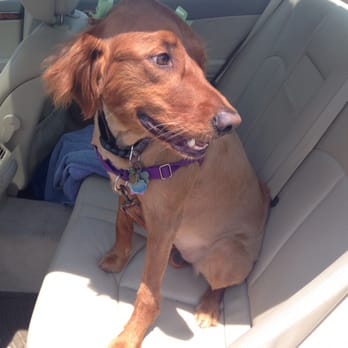 Hollywood Feed - Pet Stores Near Me - Memphis, Tennessee