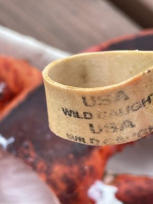 Young's Lobster Pound by null