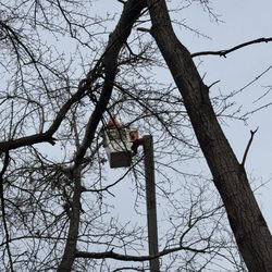 The Wood Shop Tree Service - Clearing up storm damage