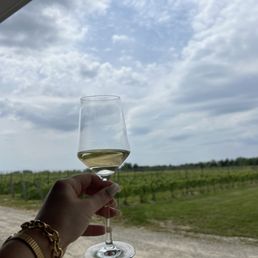 Vineyards