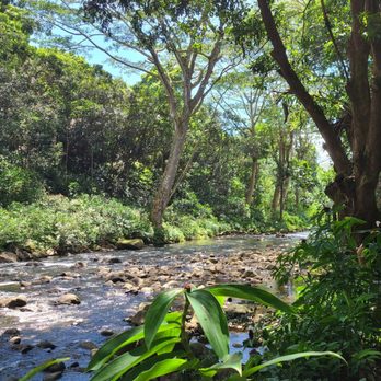 Kayak Adventures - Rafting/Kayaking Near Me - Kapaa, Hawaii