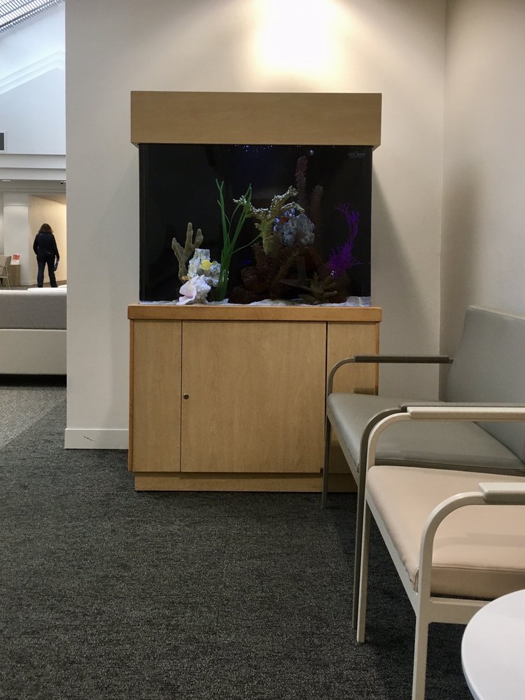 KAISER PERMANENTE NORTHGATE MEDICAL CENTER Updated May 2024 19