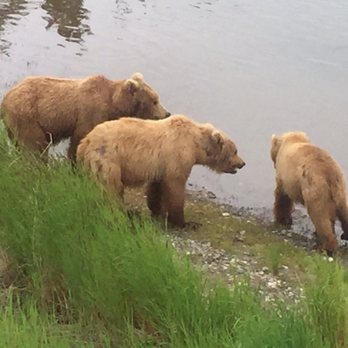 Brooks Lodge Katmai National Park - Parks Near Me - Anchorage, Alaska Brooks Lodge Katmai National Park - Parks Near Me - Anchorage, Alaska