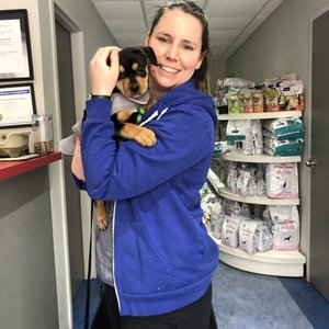 The Animal Clinic 12 Photos 31 Reviews Veterinarians 106 Mutual Street Toronto On Canada Phone Number