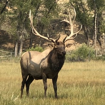 Bear River State Park - Elk - Visitor Centers Near Me - Evanston, Wyoming