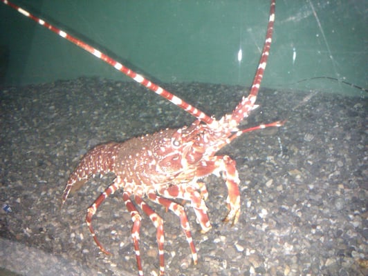 SEA LIFE Konstanz by null