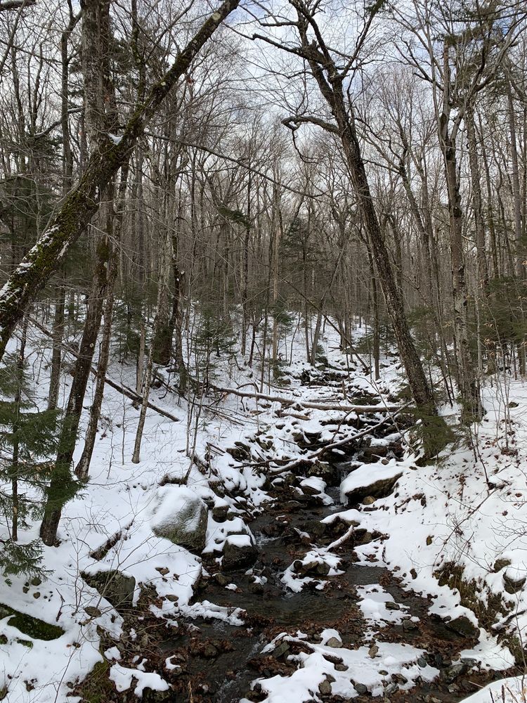 CHIMNEY HILL OWNERS ASSOCIATION Updated October 2024 13 Photos 9