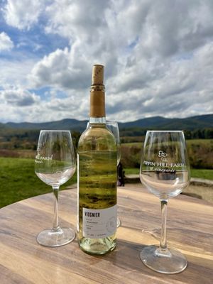 Pippin Hill Farm & Vineyards by null