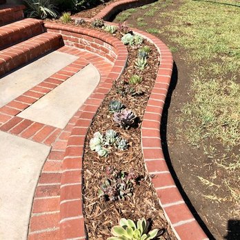Alan Dunn Landscape Design - Drought tolerant succulents with drip irrigation. - Landscaping Near Me - Irwindale, California