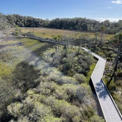 Guana River Wildlife Management Area - Great trails!