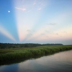 Ossabaw Island - Anticrepuscular rays with a full moon during sunrise