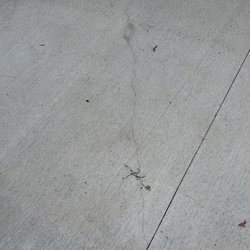 Mr. Level Concrete Leveling
