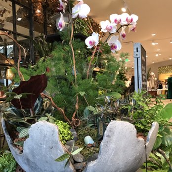 Terrain - Nurseries & Gardening Near Me - Bethesda, Maryland Terrain - Nurseries & Gardening Near Me - Bethesda, Maryland