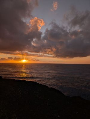 Halona Beach Cove by null