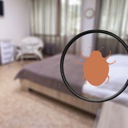 Patriot Pest Services - Call for a free pest inspection!